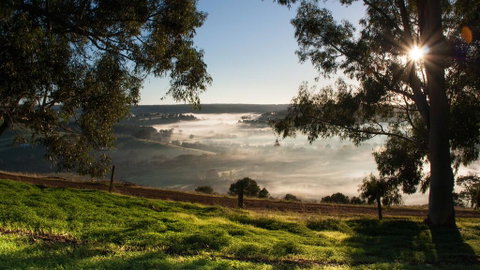 Balingup Heights Hilltop Forest Cottages - Accommodation Australia 0