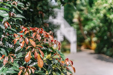 Balmoral Queenslander - Australia Shopping 2