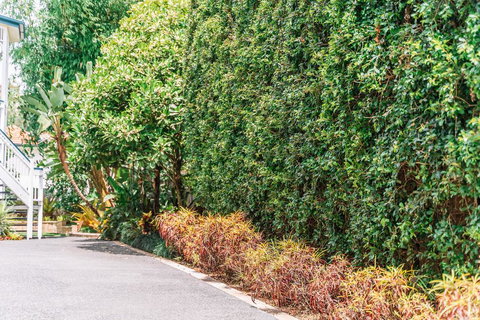 Balmoral Queenslander - Australia Shopping 3