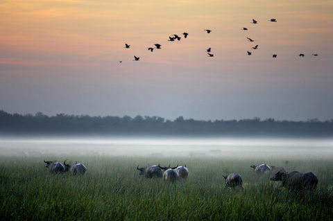 Bamurru Plains - Accommodation Australia 0