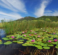Barrington Hideaway- River Cottages - Accommodation Australia