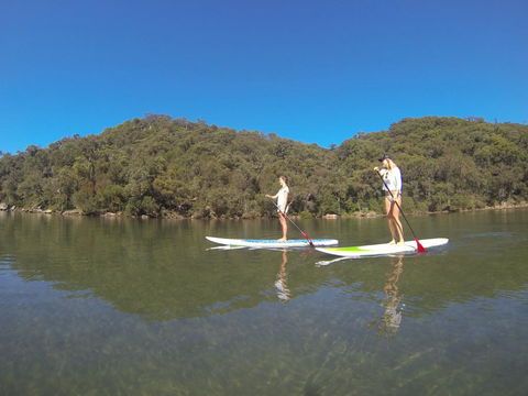 Basin Ku-ring-gai Campsite Set Up - Accommodation Australia 3