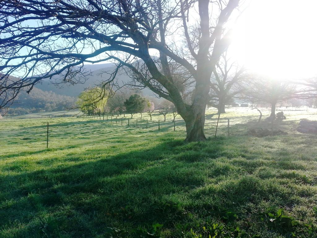 Upper Gundowring VIC Australia Shopping
