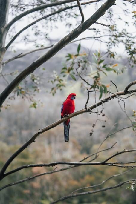 Riverside Cabin 18 Thredbo - Accommodation Australia 1