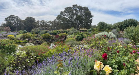 River Gardens Axedale Pet Friendly Farmstay B&B - Accommodation Australia 0