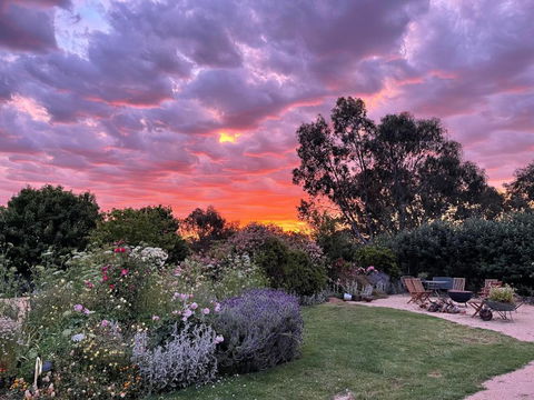 River Gardens Axedale Pet Friendly Farmstay B&B - Accommodation Australia 3