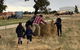 River Gardens Axedale Pet Friendly Farmstay B&B - thumb 1