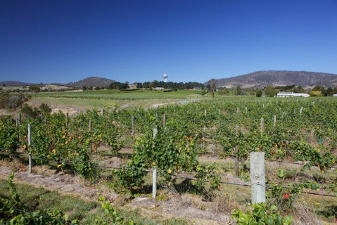Riversdale Estate Cottages - Accommodation Australia 1