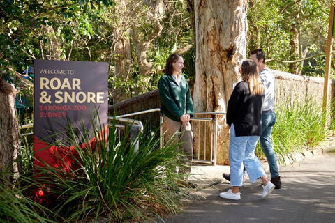 Roar And Snore - Australia Shopping 1