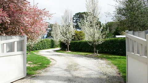 Robin Hill Manor - Local Tourism 2