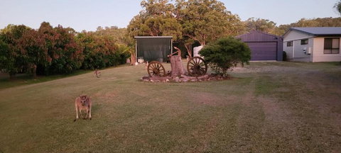 Roo Or 2 On Streeter - Australia Shopping 2