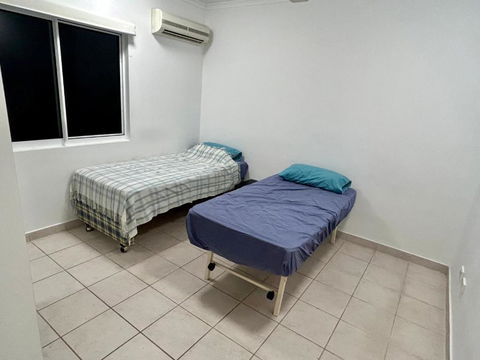 Room In City With Kittens! - Local Tourism 1