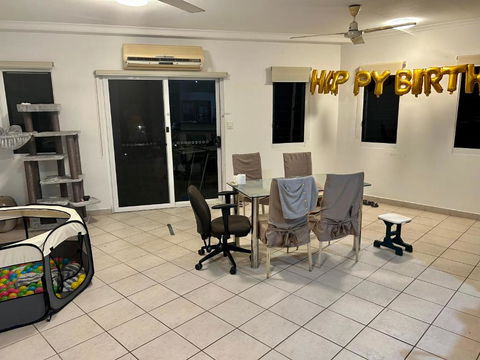 Room In City With Kittens! - Local Tourism 3
