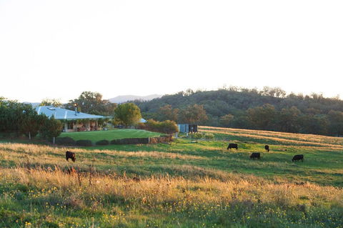 Rosby Guesthouse And Studio - Accommodation Australia 0
