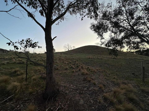 Rowsley Valley Tiny House 2 By Tiny Away - Local Tourism 3
