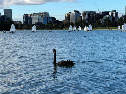 Sand & The City - Australia Shopping 2