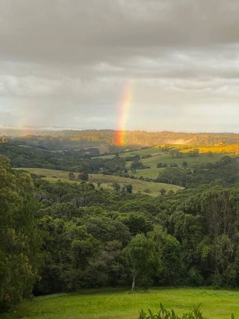 Sanctuary In Luscious Green Hills Of Coorabell - Local Tourism 2