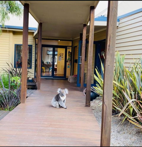 Sandpiper Motel Apollo Bay - Accommodation Australia 3