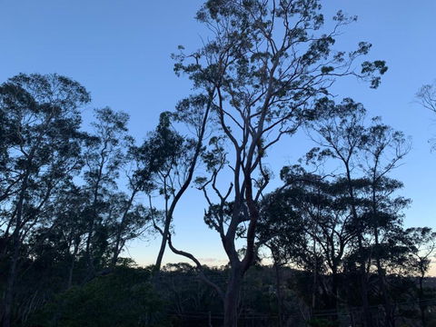 Snooty Fox Bed &Breakfast - Australia Shopping 3