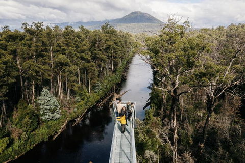 Tahune AirWalk Cabin And Lodge - Local Tourism 0