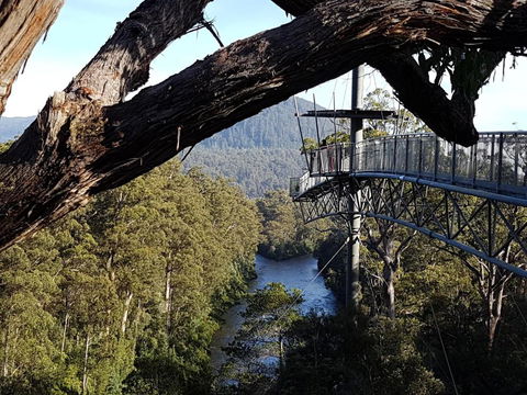 Tahune AirWalk Cabin And Lodge - Local Tourism 1