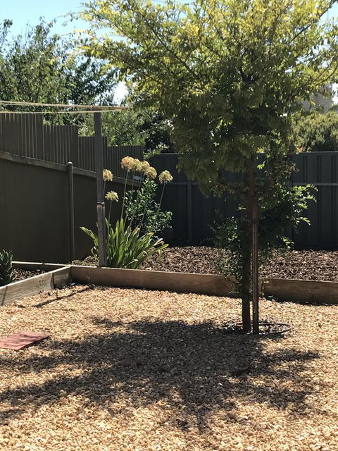 Beatty Cottage - Accommodation Australia 2