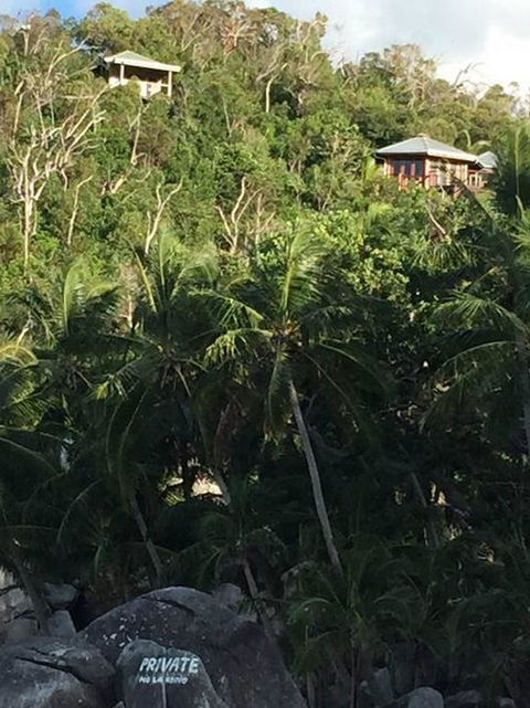 Bedarra Island Treetop Hideaway - Accommodation Australia 3