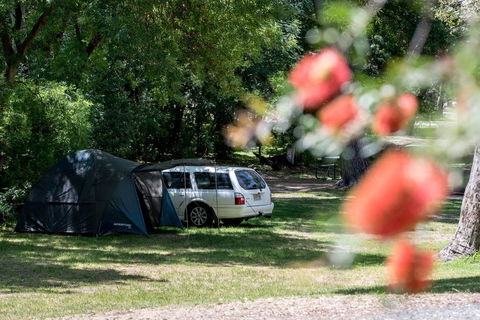 Belair National Park Holiday Park - Accommodation Australia 0