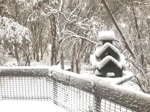 Belltrees - Accommodation Australia 1