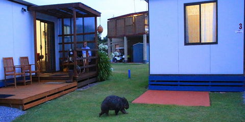 BIG4 Kelso Sands Holiday & Native Wildlife Park - Accommodation Australia 0