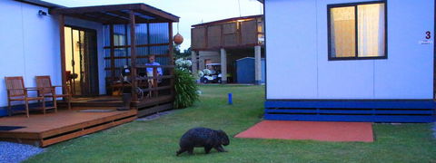BIG4 Kelso Sands Holiday & Native Wildlife Park - Accommodation Australia 2