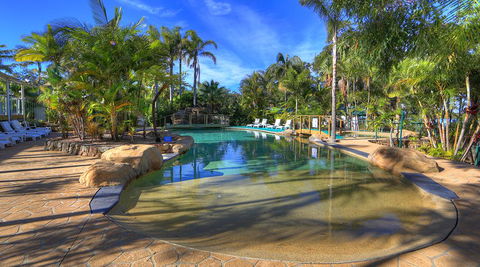 BIG4 Koala Shores Holiday Park - Bed n Breakfasts 3