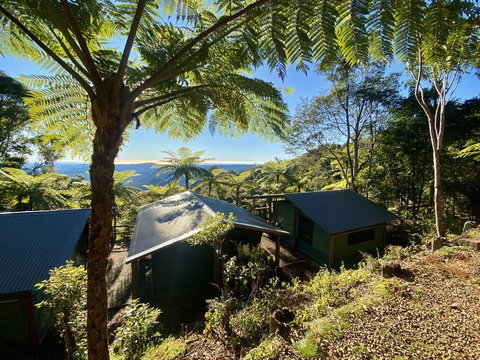 Binna Burra Rainforest Campsite - Australia Shopping 2
