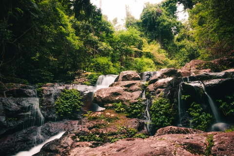 Binna Burra Rainforest Campsite - Australia Shopping 3