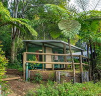 Binna Burra Rainforest Campsite - Australia Shopping
