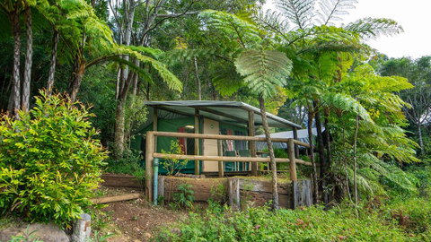 Binna Burra Rainforest Campsite - Australia Shopping 0