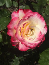 Book Yarck Accommodation Vacations Accommodation Australia Accommodation Australia