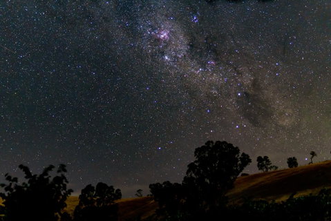 Blickinstal Barossa Valley Retreat - Local Tourism 1