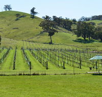 Blue House at Mountainside Wines - Australia Shopping