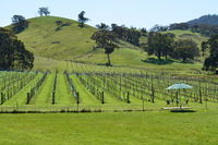 Book Mount Cole Accommodation Vacations Accommodation Australia Accommodation Australia