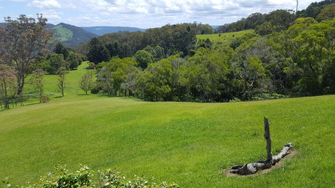 Blue Summit Cottages - Local Tourism 3