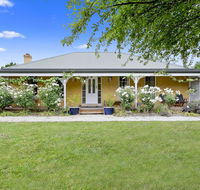 Blue Wren - Local Tourism