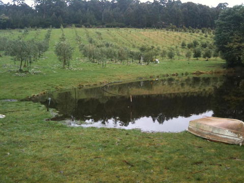 Wanderers Cottage - Accommodation Australia 3