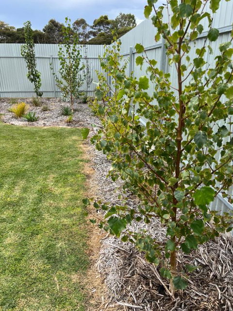 White Hut On Golflinks - Local Tourism 1