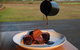 Finniss River Lodge - thumb 3