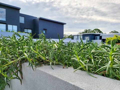 Your Quiet Penthouse With High Ceiling Split Level - Accommodation Australia 2
