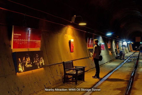 ZEN BY THE OCEAN - 1-BR Executive Biz Retreat - Accommodation Australia 3