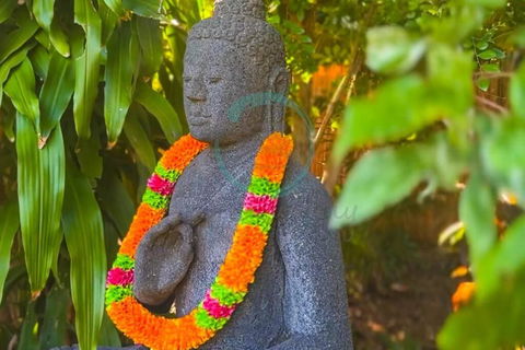 Zenhouse: 6-BR Balinese Tropical Oasis In Nightcliff Central - Accommodation Australia 3