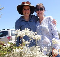 Spring Wildflower Private Day Tours - Local Tourism