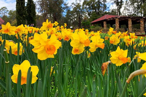 Spring Wildflower (Private) Day Tours - Accommodation Australia 1